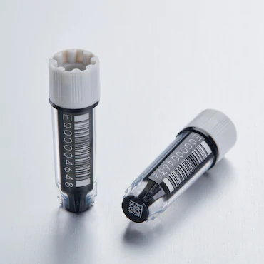 艾本德Eppendorf CryoStorage Vial，無菌, 無菌, 0.5 mL, 不含 DNase、RNase、人類 DNA 和內(nèi)毒素；外螺紋，預(yù)先加蓋灰色管蓋，帶 2D SafeCode 